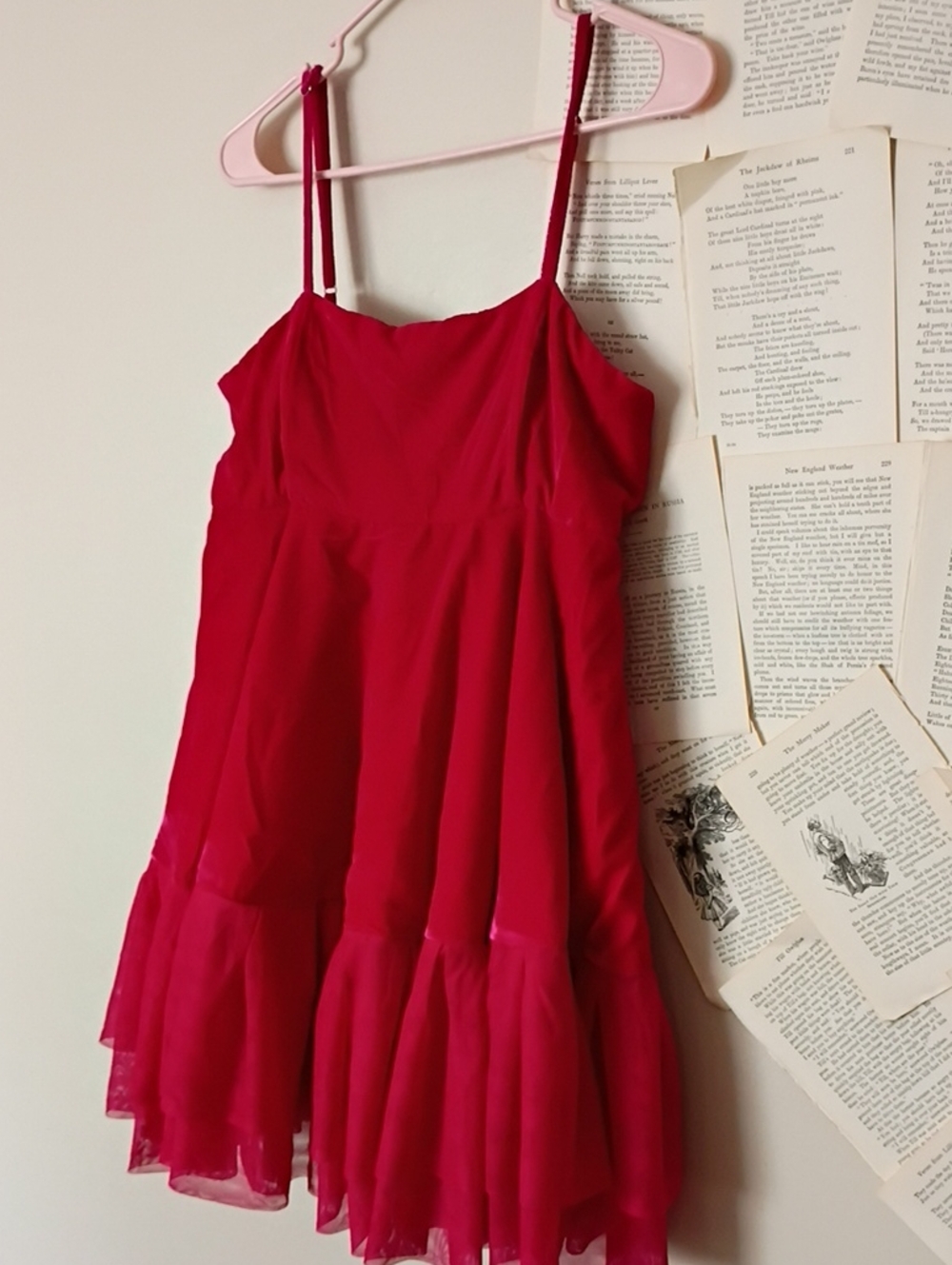 Let Me Be Velvet Tulle Dress